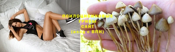 метадон Медногорск