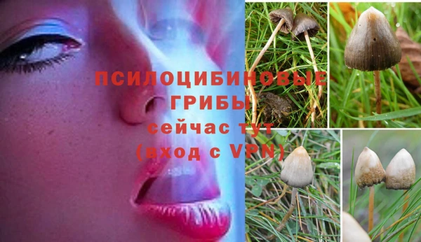 метадон Медногорск