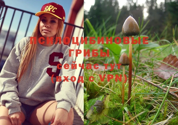 молекула духа Медвежьегорск