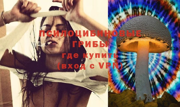 метадон Медногорск