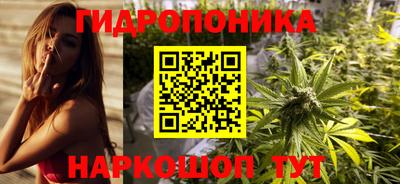 амф Донской