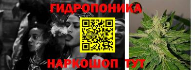 амф Донской