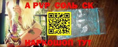 амф Донской