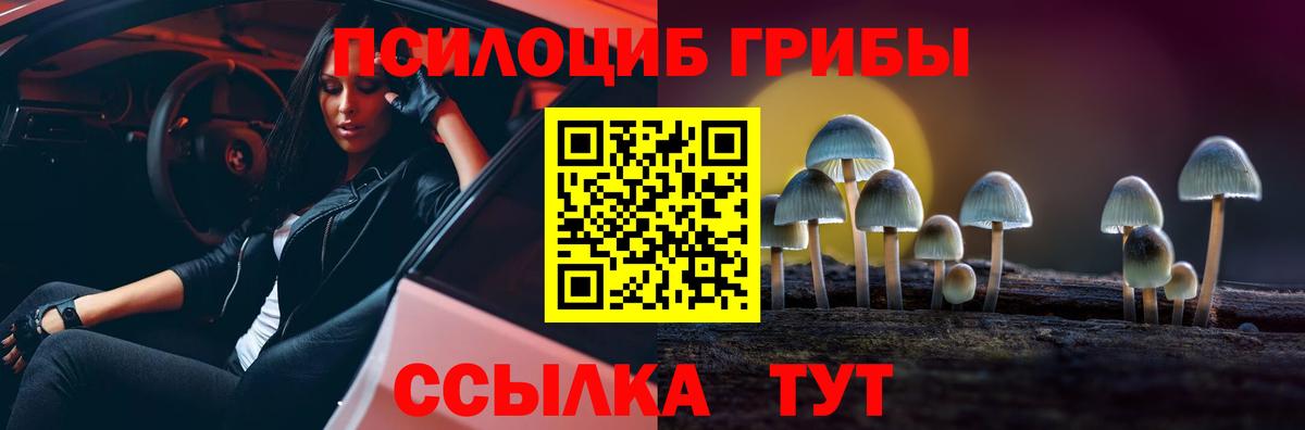 магазин    Вход с VPN  Псилоцибиновые грибы GOLDEN TEACHER  Надым  Галлюциногенные грибы Psilocybe 